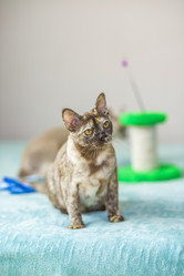 Similar image 21508890