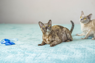 Similar image 21508891