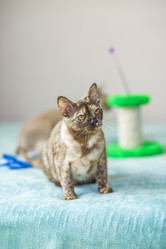 Similar image 21508892