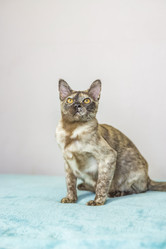 Similar image 21508893