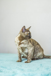 Similar image 21508894