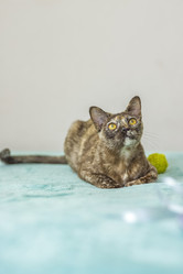 Similar image 21508895