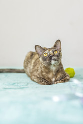 Similar image 21508896