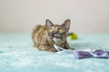 Similar image 21508897