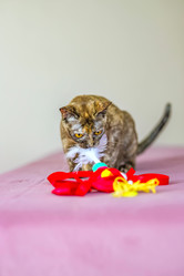 Similar image 21508901