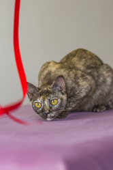 Similar image 21508902