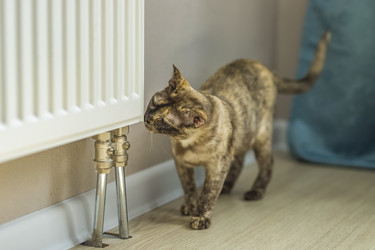 Similar image 21508903