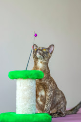 Similar image 21508904