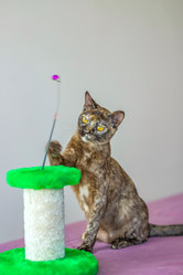 Similar image 21508905