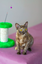 Similar image 21508907