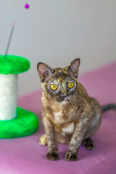 Similar image 21508908