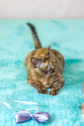 Similar image 21508910