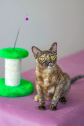 Similar image 21508911