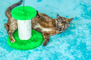 Similar image 21508923