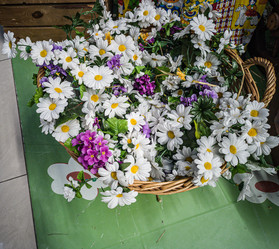 Similar image 21509571