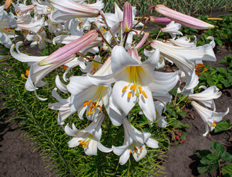 Similar image 21509573