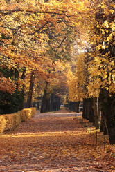 Similar image 21507091