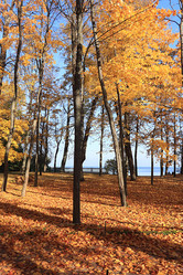 Similar image 21507095