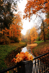 Similar image 21507100