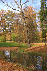 Similar image 21507104