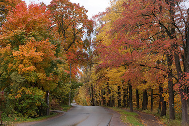 Similar image 21507111