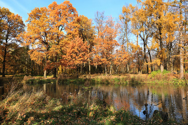 Similar image 21507115