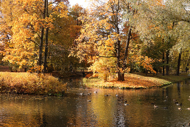 Similar image 21507117