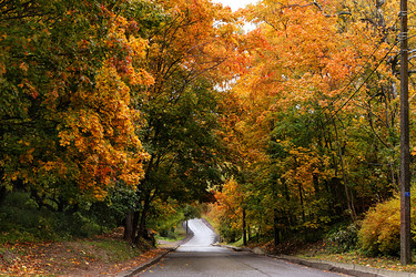 Similar image 21507118