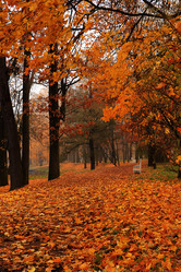 Similar image 21507120