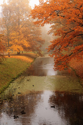 Similar image 21507130