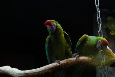 Similar image 21507824