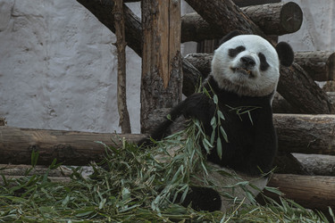 Similar image 21507825