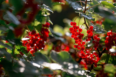 Similar image 21511085