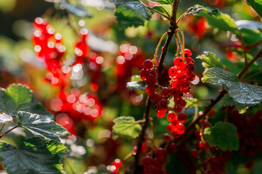 Similar image 21511087