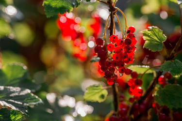 Similar image 21511089