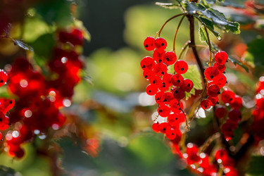 Similar image 21511090