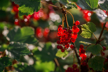 Similar image 21511091