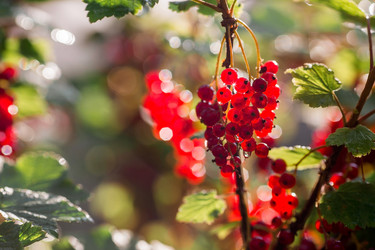 Similar image 21511092