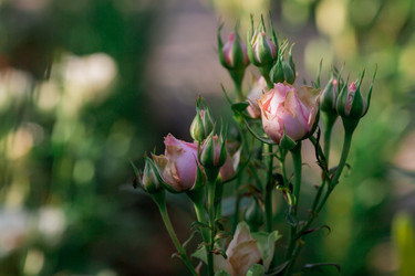 Similar image 21511096