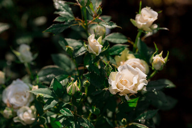 Similar image 21511097