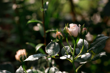 Similar image 21511400