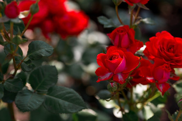 Similar image 21511402