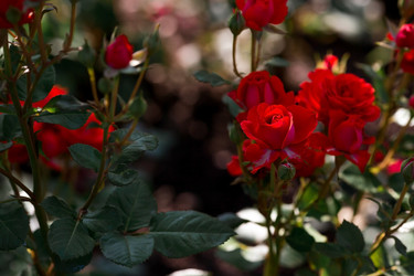 Similar image 21511403