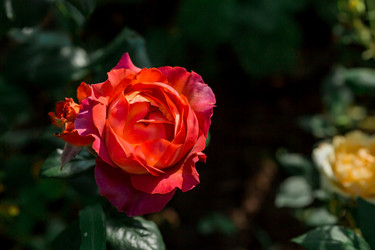 Similar image 21511405