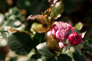 Similar image 21511407