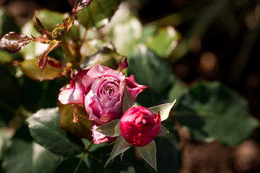 Similar image 21511409