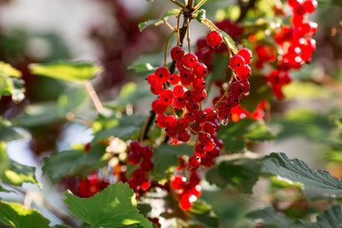 Similar image 21511410