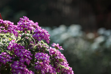 Similar image 21511413