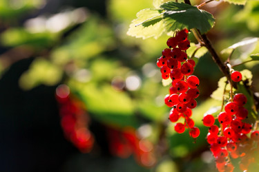 Similar image 21511414