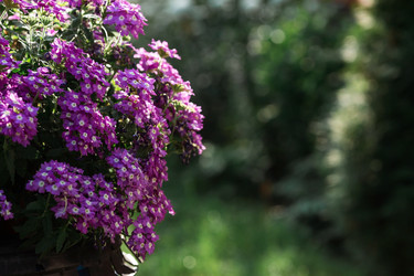 Similar image 21511415